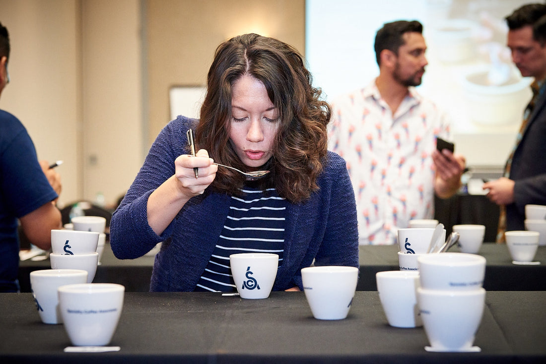 SCA Revamps Education Pricing for Global Coffee Professionals
