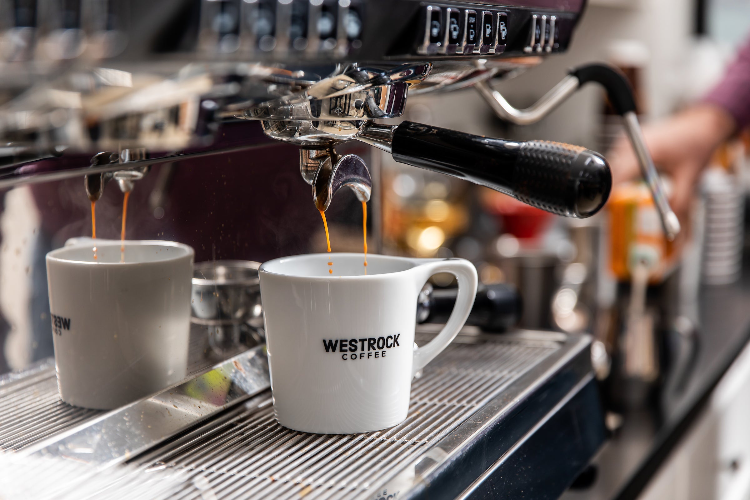 Westrock Coffee Opens Cutting-Edge Manufacturing Plant in Conway
