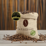 Hacienda La Esmeralda- lux cafe club
