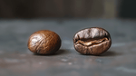 Peaberry vs Regular beans